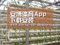 环境展示六