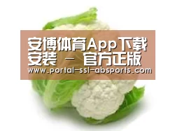 产品名称九