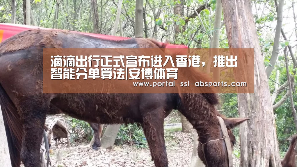 滴滴出行正式宣布进入香港,推出智能分单算法|安博体育(图1) 安博体育