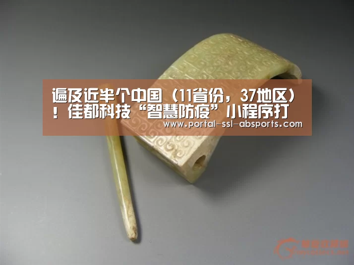 遍及近半个中国(11省份,37地区)!佳都科技“智慧防疫”小程序打通防控“最后一公里”【安博体育】(图1) 安博体育
